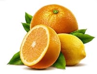        
цукаты
апельсин и лимон